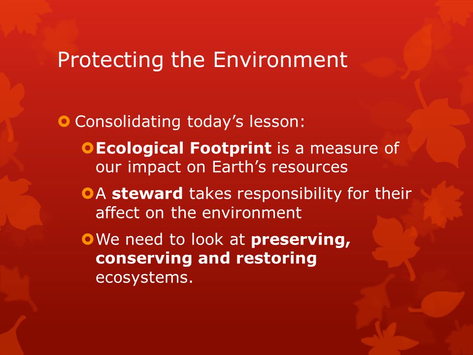preservation of environment essay